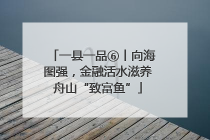 一县一品⑥丨向海图强，金融活水滋养舟山“致富鱼”