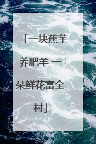 一块蕉芋养肥羊 一朵鲜花富全村