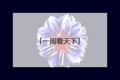 一周看天下