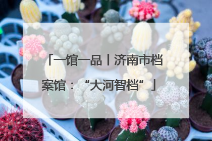 一馆一品丨济南市档案馆：“大河智档”