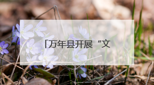 万年县开展“文化和自然遗产日”非遗主题活动