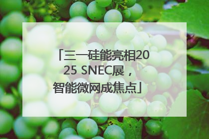 三一硅能亮相2025 SNEC展，智能微网成焦点