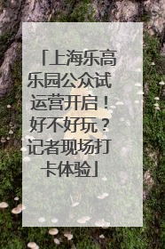 上海乐高乐园公众试运营开启！好不好玩？记者现场打卡体验