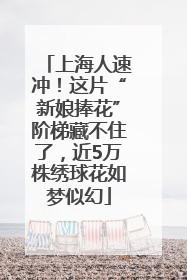 上海人速冲！这片“新娘捧花”阶梯藏不住了，近5万株绣球花如梦似幻