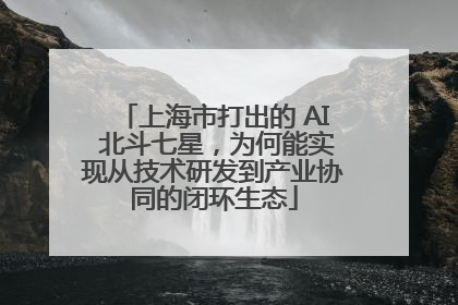 上海市打出的 AI 北斗七星，为何能实现从技术研发到产业协同的闭环生态