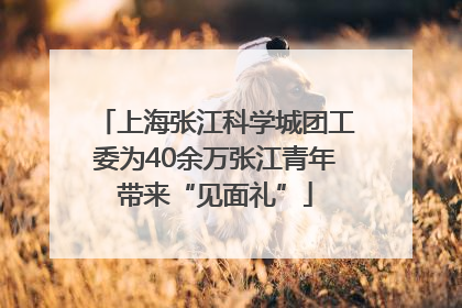 上海张江科学城团工委为40余万张江青年带来“见面礼”