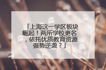 上海这一学区板块崛起！两所学校更名，依托优质教育资源强势逆袭？
