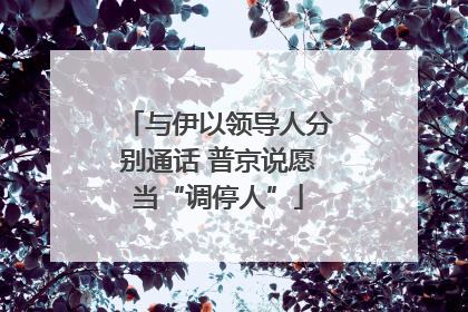 与伊以领导人分别通话 普京说愿当“调停人”