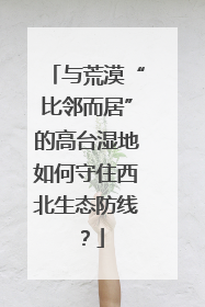 与荒漠“比邻而居”的高台湿地如何守住西北生态防线？
