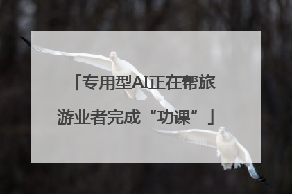 专用型AI正在帮旅游业者完成“功课”