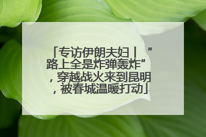 专访伊朗夫妇丨“路上全是炸弹轰炸”，穿越战火来到昆明，被春城温暖打动