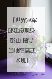世界冠军邱建良现身彭山 指导当地职高武术班