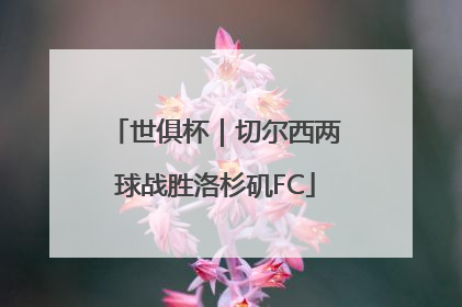 世俱杯｜切尔西两球战胜洛杉矶FC
