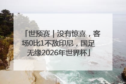 世预赛｜没有惊喜，客场0比1不敌印尼，国足无缘2026年世界杯