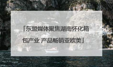 东盟媒体聚焦湖南怀化箱包产业 产品畅销亚欧美