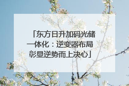 东方日升加码光储一体化：逆变器布局彰显逆势而上决心