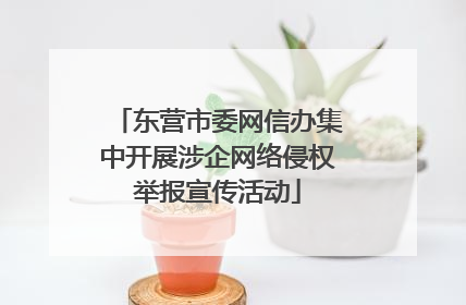 东营市委网信办集中开展涉企网络侵权举报宣传活动