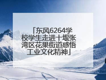 东风6264学校学生走进十堰张湾区花果街道感悟工业文化精神