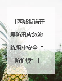 两城街道开展防汛应急演练筑牢安全“防护堤”