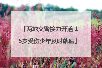 两地交警接力开道 15岁受伤少年及时就医