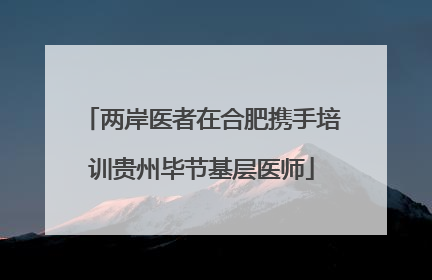 两岸医者在合肥携手培训贵州毕节基层医师