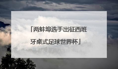两蚌埠选手出征西班牙桌式足球世界杯