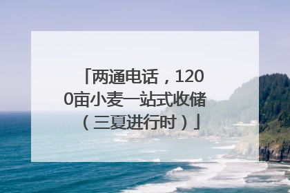 两通电话，1200亩小麦一站式收储（三夏进行时）