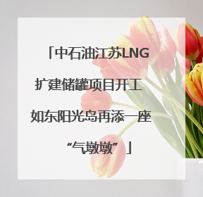 中石油江苏LNG扩建储罐项目开工 如东阳光岛再添一座“气墩墩”