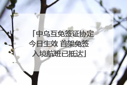 中乌互免签证协定今日生效 首架免签入境航班已抵达