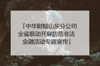 中华财险山东分公司全省联动开展防范非法金融活动专题宣传