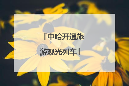 中哈开通旅游观光列车