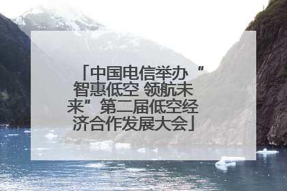 中国电信举办“智惠低空 领航未来”第二届低空经济合作发展大会