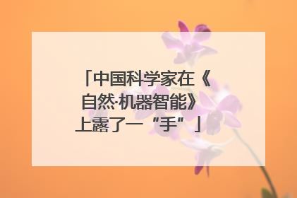中国科学家在《自然·机器智能》上露了一“手”
