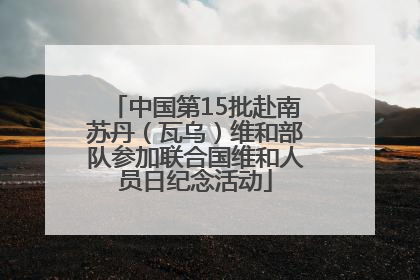 中国第15批赴南苏丹（瓦乌）维和部队参加联合国维和人员日纪念活动