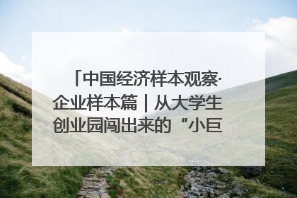 中国经济样本观察·企业样本篇｜从大学生创业园闯出来的“小巨人”——卡诺普机器人的逐梦历程