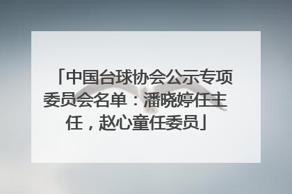 中国台球协会公示专项委员会名单：潘晓婷任主任，赵心童任委员