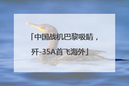中国战机巴黎吸睛，歼-35A首飞海外