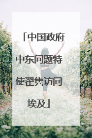中国政府中东问题特使翟隽访问埃及