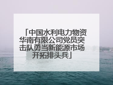 中国水利电力物资华南有限公司党员突击队勇当新能源市场开拓排头兵