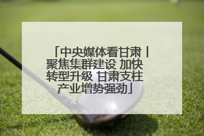 中央媒体看甘肃丨聚焦集群建设 加快转型升级 甘肃支柱产业增势强劲