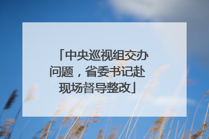 中央巡视组交办问题，省委书记赴现场督导整改