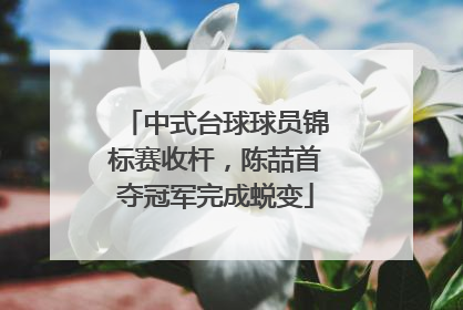 中式台球球员锦标赛收杆，陈喆首夺冠军完成蜕变