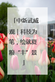 中新武威观｜科技为笔，绘就夏粮“丰”景