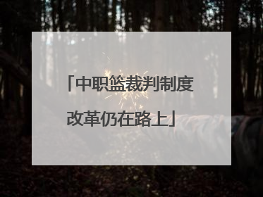 中职篮裁判制度改革仍在路上