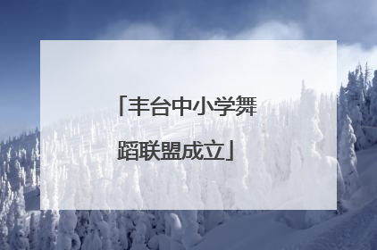 丰台中小学舞蹈联盟成立
