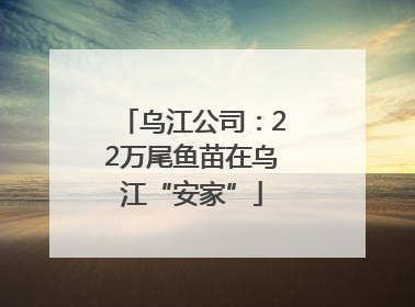 乌江公司：22万尾鱼苗在乌江“安家”