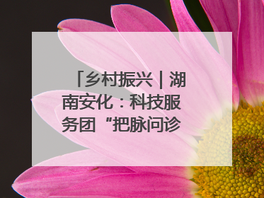 乡村振兴｜湖南安化：科技服务团“把脉问诊”水果产业