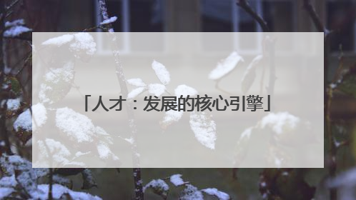 人才：发展的核心引擎