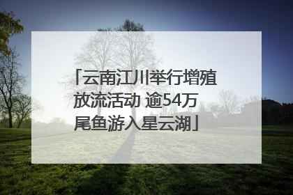 云南江川举行增殖放流活动 逾54万尾鱼游入星云湖