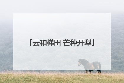 云和梯田 芒种开犁
